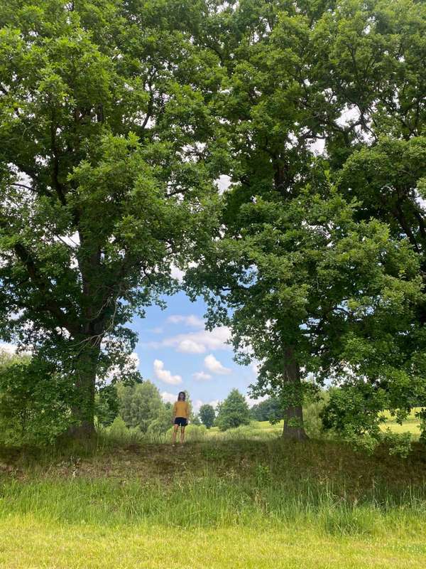 Když se z lesa ozvou sovy