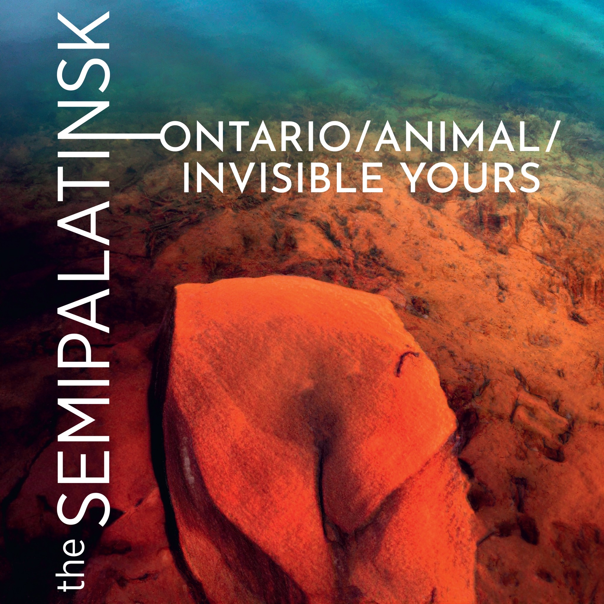 The Semipalatinsk – \nOntario​/​Animal​/​Invisible Yours